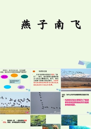 五年级科学上册 第7课 燕子南飞课件3 冀教版-冀教版小学五年级上册自然科学课件