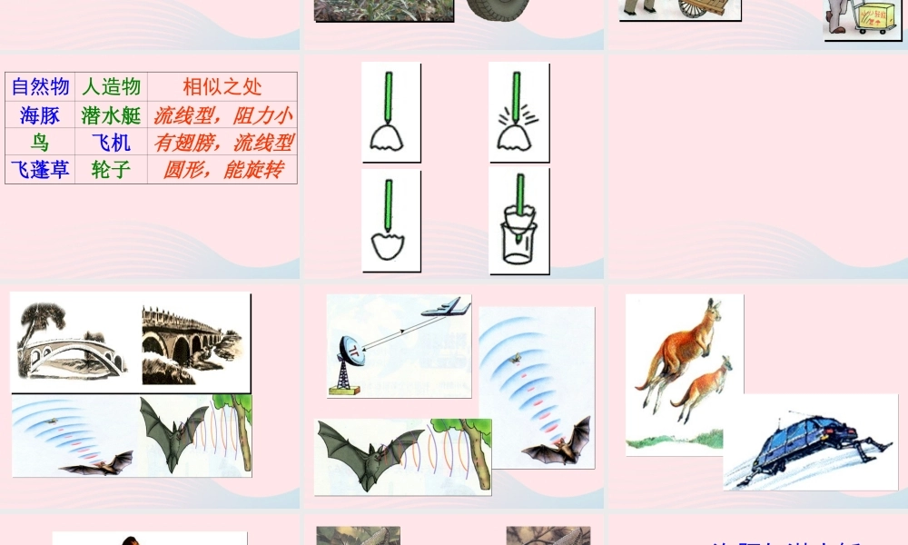 五年级科学上册 第7课《茅草与锯子》课件（2） 鄂教版-鄂教版小学五年级上册自然科学课件