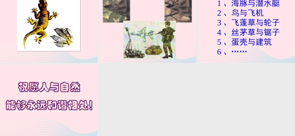 五年级科学上册 第7课《茅草与锯子》课件（2） 鄂教版-鄂教版小学五年级上册自然科学课件