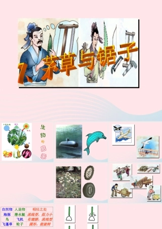 五年级科学上册 第7课《茅草与锯子》课件（2） 鄂教版-鄂教版小学五年级上册自然科学课件