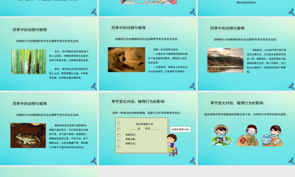 五年级科学下册 第2单元 地球的运动 2.4 一年四季课件 （新版）湘科版-人教版小学五年级下册自然科学课件