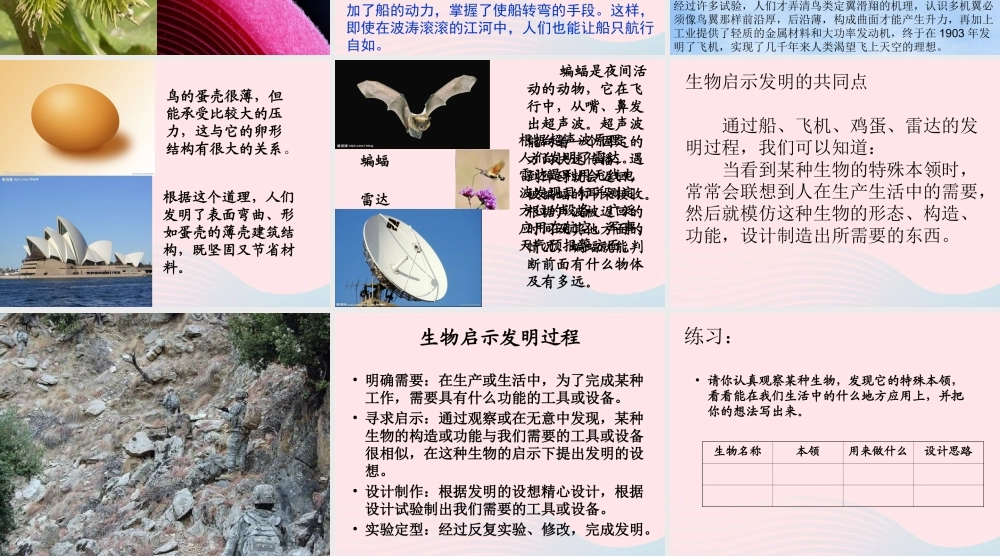 五年级科学上册 第7课《茅草与锯子》课件（3） 鄂教版-鄂教版小学五年级上册自然科学课件