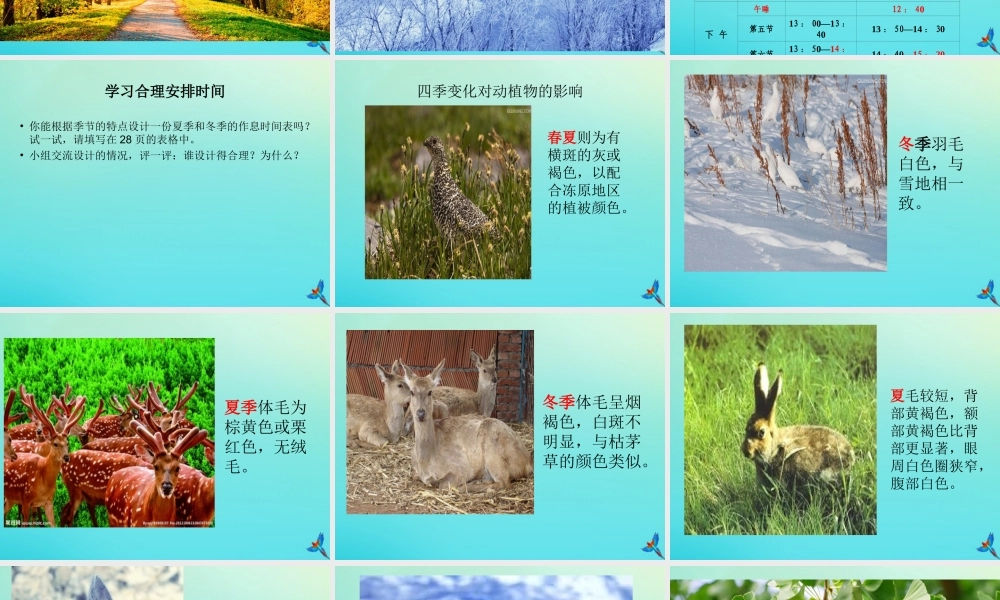 五年级科学下册 第2单元 地球的运动 2.4《一年四季》课件1 （新版）湘科版-人教版小学五年级下册自然科学课件