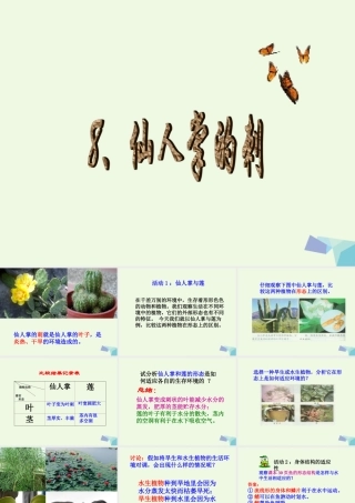 五年级科学上册 第8课 仙人掌的刺课件1 冀教版-冀教版小学五年级上册自然科学课件