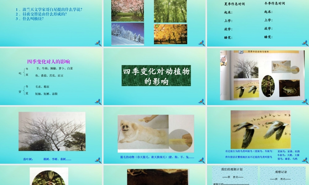 五年级科学下册 第2单元 地球的运动 2.4《一年四季》课件2 （新版）湘科版-人教版小学五年级下册自然科学课件