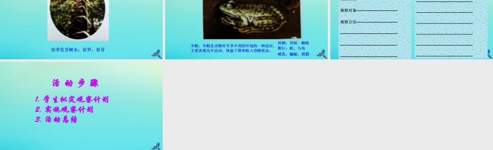 五年级科学下册 第2单元 地球的运动 2.4《一年四季》课件2 （新版）湘科版-人教版小学五年级下册自然科学课件