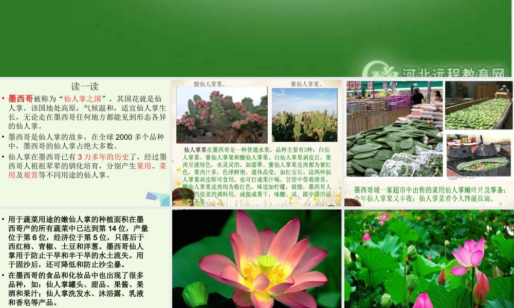 五年级科学上册 第8课 仙人掌的刺课件2 冀教版-冀教版小学五年级上册自然科学课件