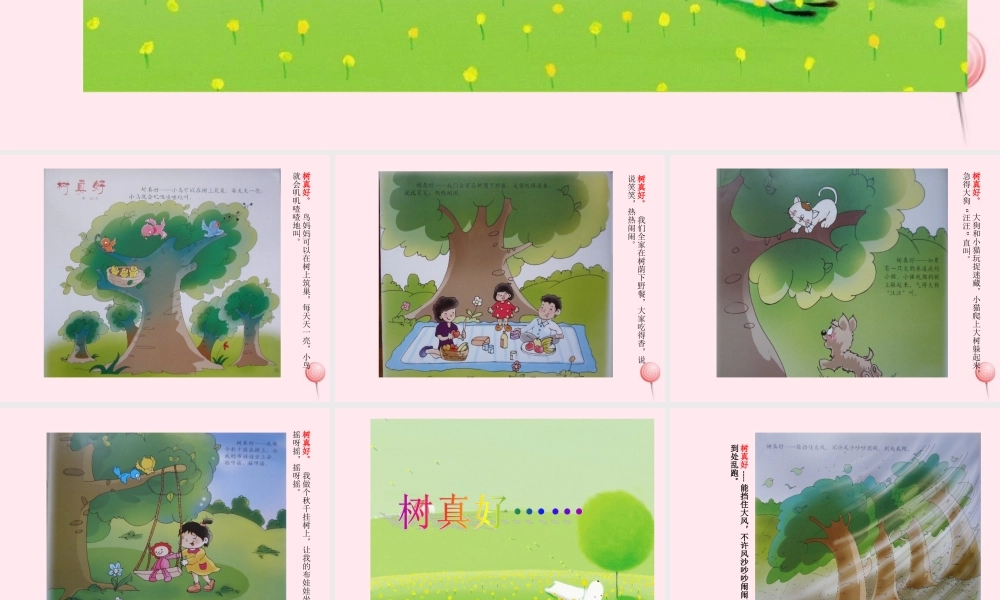 二年级语文下册 课文8 第22课《树真好》课件 鄂教版-鄂教版小学二年级下册语文课件