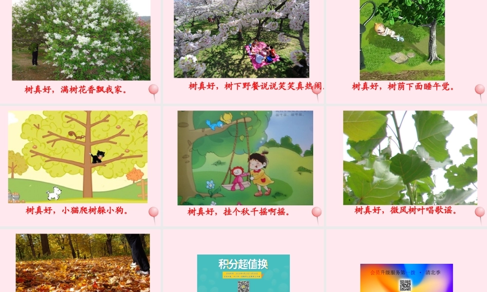 二年级语文下册 课文8 第22课《树真好》课件 鄂教版-鄂教版小学二年级下册语文课件