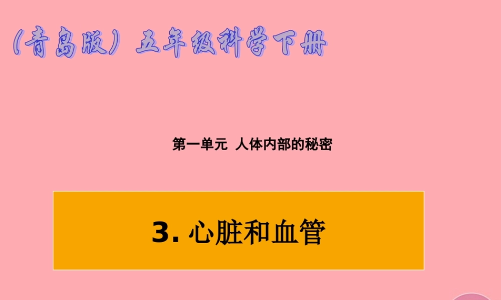 五年级科学上册 第8课 心脏和血管课件1 青岛版-青岛版小学五年级上册自然科学课件
