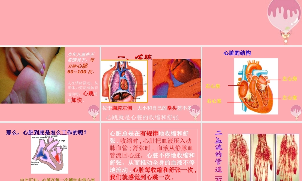 五年级科学上册 第8课 心脏和血管课件1 青岛版-青岛版小学五年级上册自然科学课件