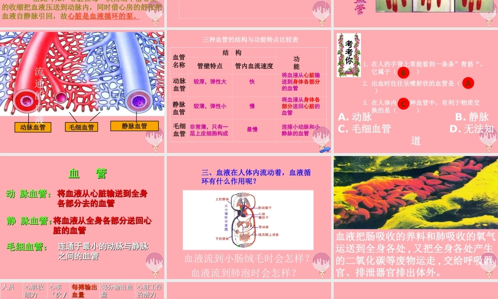 五年级科学上册 第8课 心脏和血管课件1 青岛版-青岛版小学五年级上册自然科学课件