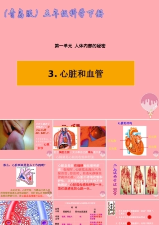 五年级科学上册 第8课 心脏和血管课件1 青岛版-青岛版小学五年级上册自然科学课件