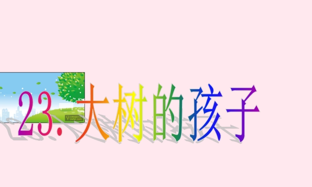 二年级语文下册 课文8 第23课《大树的孩子》课件 鄂教版-鄂教版小学二年级下册语文课件