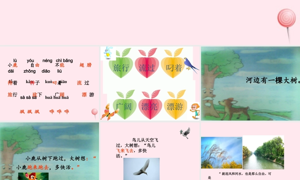 二年级语文下册 课文8 第23课《大树的孩子》课件 鄂教版-鄂教版小学二年级下册语文课件