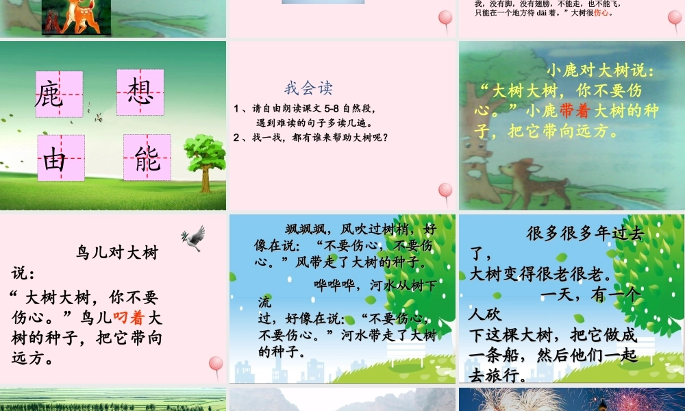 二年级语文下册 课文8 第23课《大树的孩子》课件 鄂教版-鄂教版小学二年级下册语文课件