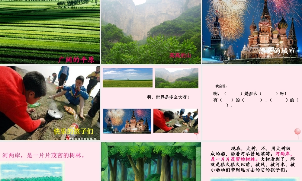 二年级语文下册 课文8 第23课《大树的孩子》课件 鄂教版-鄂教版小学二年级下册语文课件