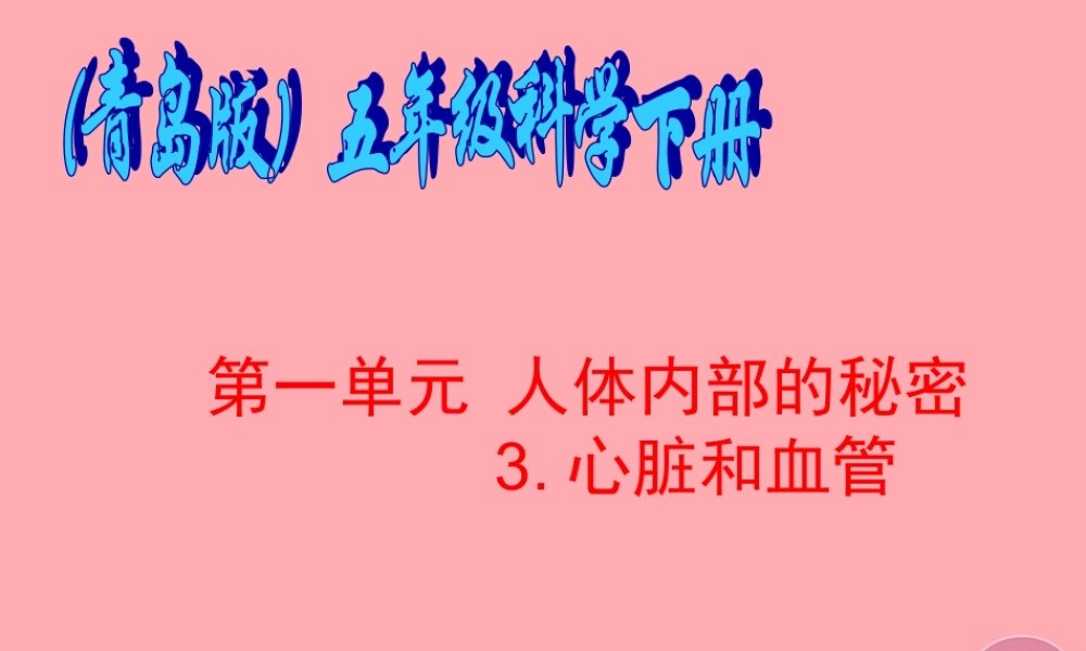 五年级科学上册 第8课 心脏和血管课件2 青岛版-青岛版小学五年级上册自然科学课件