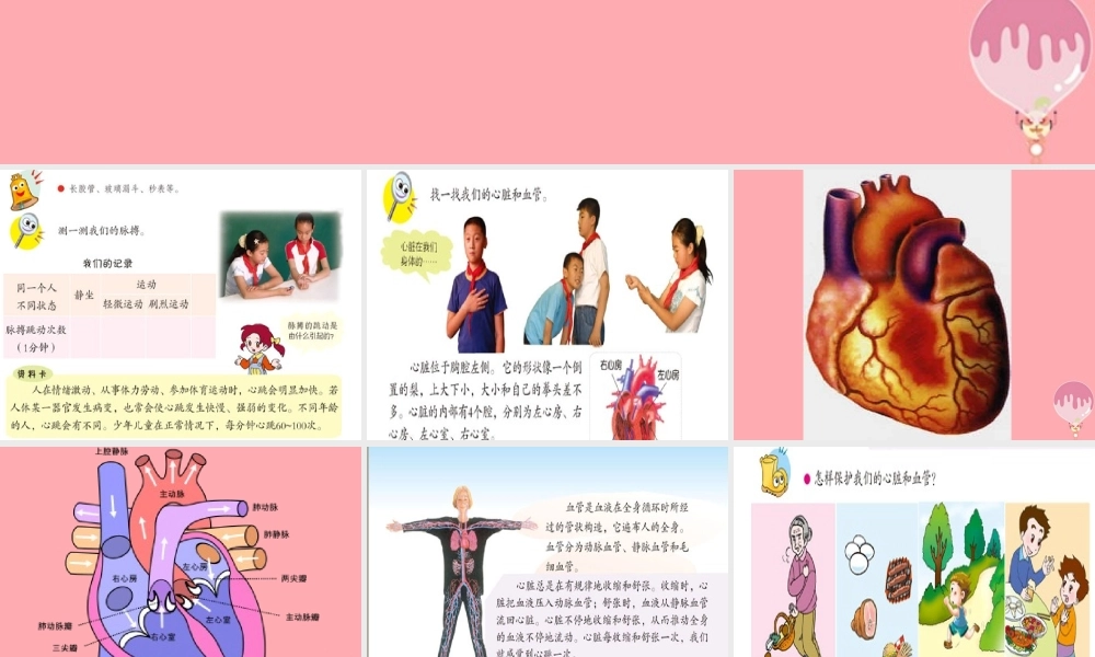 五年级科学上册 第8课 心脏和血管课件2 青岛版-青岛版小学五年级上册自然科学课件