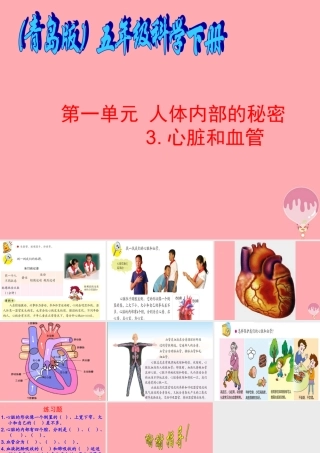 五年级科学上册 第8课 心脏和血管课件2 青岛版-青岛版小学五年级上册自然科学课件