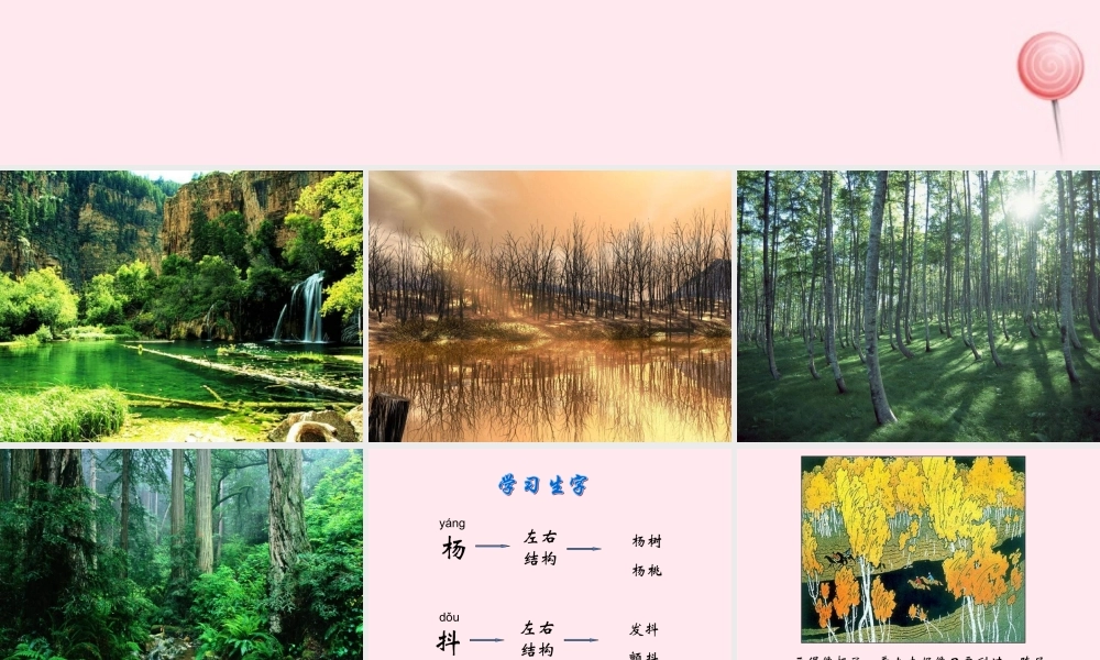 二年级语文下册 课文8 第24课《画森林》课件 鄂教版-鄂教版小学二年级下册语文课件