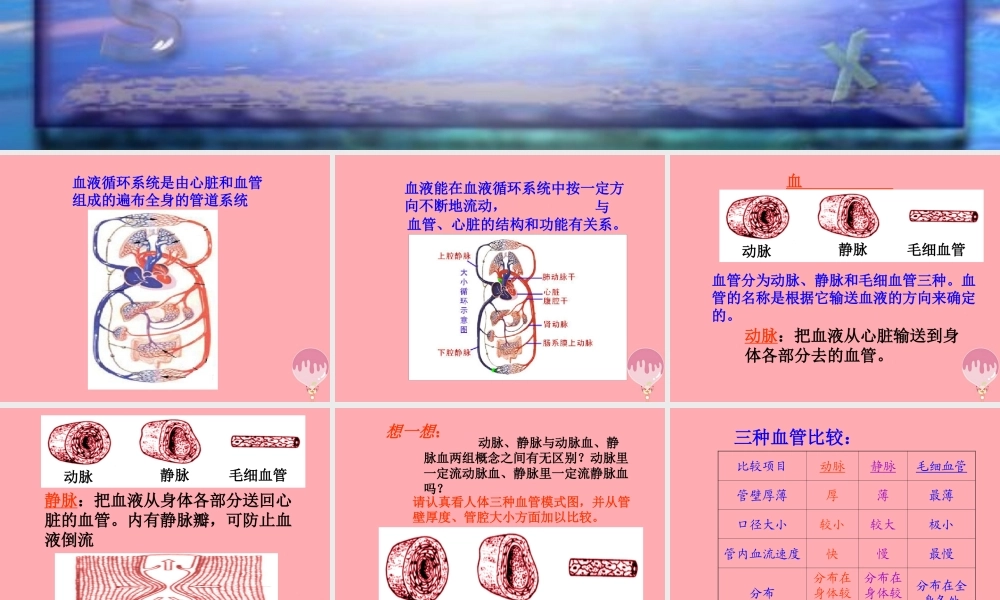 五年级科学上册 第8课 心脏和血管课件3 青岛版-青岛版小学五年级上册自然科学课件