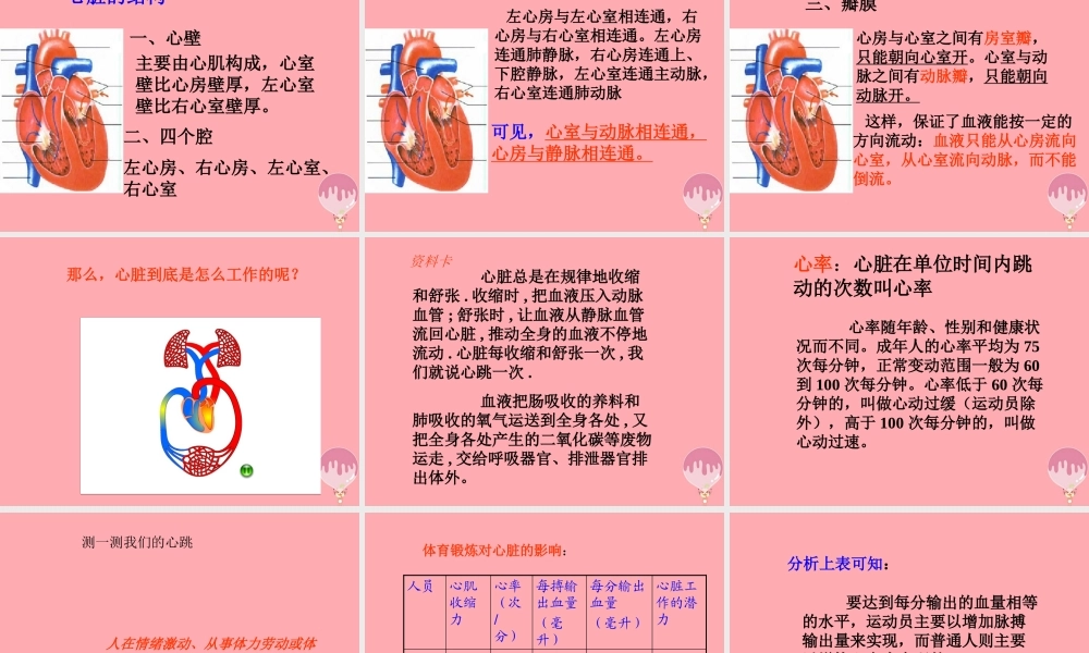 五年级科学上册 第8课 心脏和血管课件3 青岛版-青岛版小学五年级上册自然科学课件