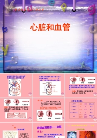 五年级科学上册 第8课 心脏和血管课件3 青岛版-青岛版小学五年级上册自然科学课件