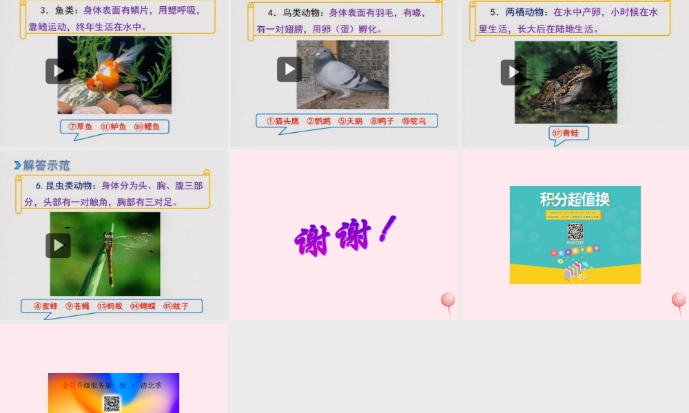 五年级科学下册 第2课《动物吃什么》课件1 鄂教版-鄂教版小学五年级下册自然科学课件