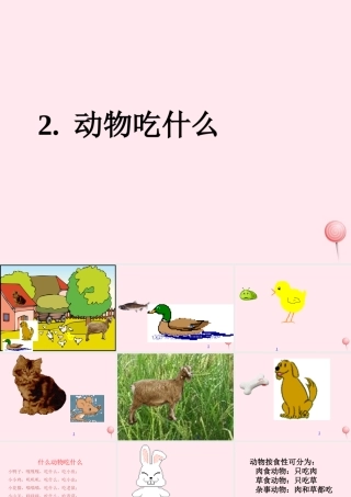 五年级科学下册 第2课《动物吃什么》课件1 鄂教版-鄂教版小学五年级下册自然科学课件