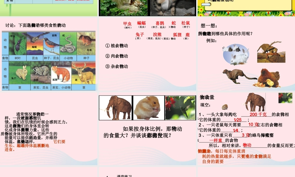 五年级科学下册 第2课《动物吃什么》课件2 鄂教版-鄂教版小学五年级下册自然科学课件