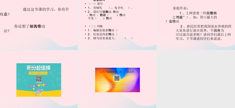 五年级科学下册 第2课《动物吃什么》课件2 鄂教版-鄂教版小学五年级下册自然科学课件