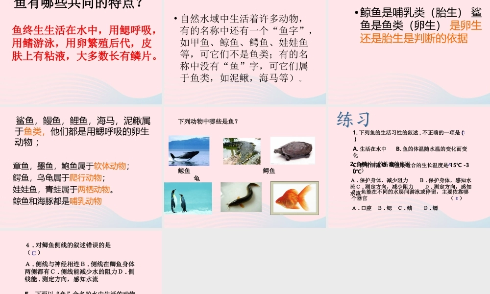 五年级科学上册 第8课《鱼》课件（3） 鄂教版-鄂教版小学五年级上册自然科学课件