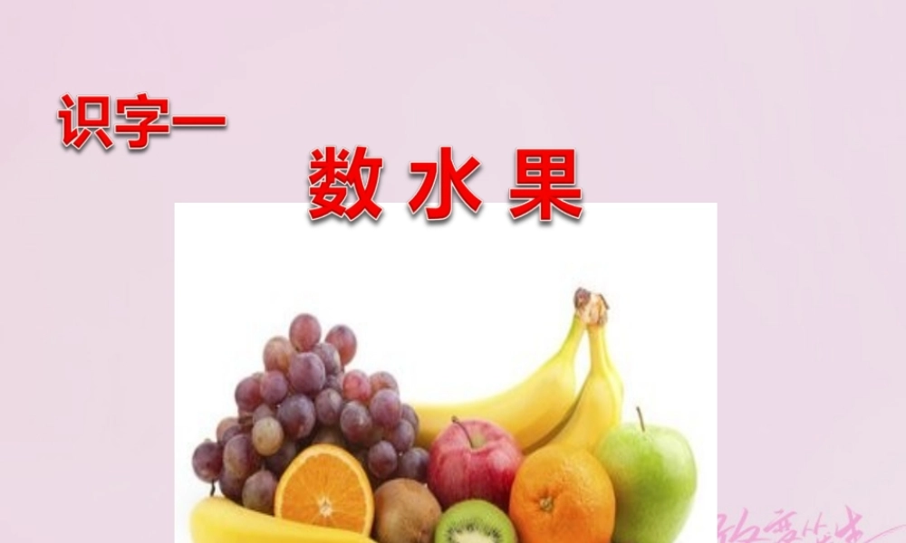 二年级语文下册 识字一 数水果课件 西师大版-西师大版小学二年级下册语文课件
