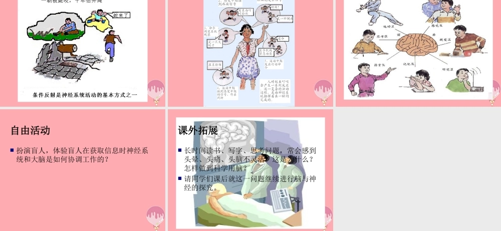 五年级科学上册 第9课 脑与神经课件1 青岛版-青岛版小学五年级上册自然科学课件