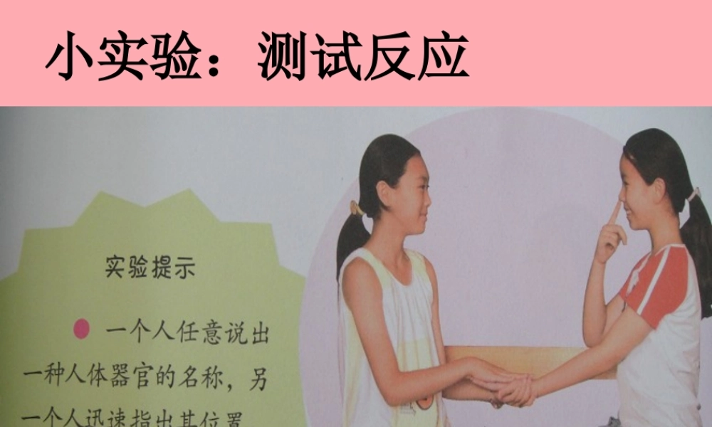 五年级科学上册 第9课 脑与神经课件2 青岛版-青岛版小学五年级上册自然科学课件