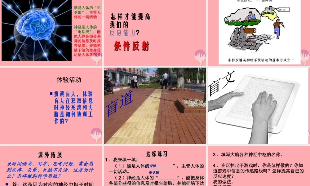 五年级科学上册 第9课 脑与神经课件2 青岛版-青岛版小学五年级上册自然科学课件