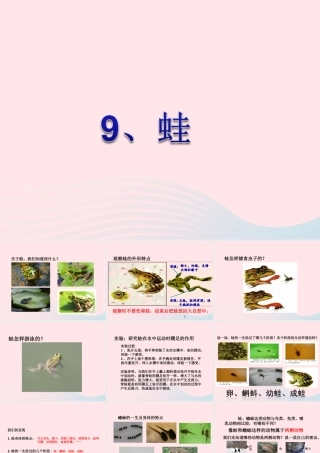 五年级科学上册 第9课《蛙》课件（1） 鄂教版-鄂教版小学五年级上册自然科学课件