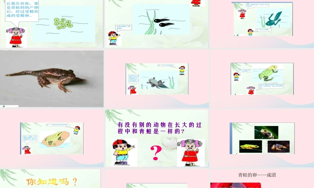 五年级科学上册 第9课《蛙》课件（2） 鄂教版-鄂教版小学五年级上册自然科学课件