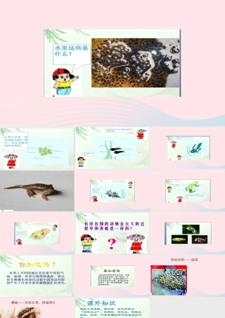 五年级科学上册 第9课《蛙》课件（2） 鄂教版-鄂教版小学五年级上册自然科学课件