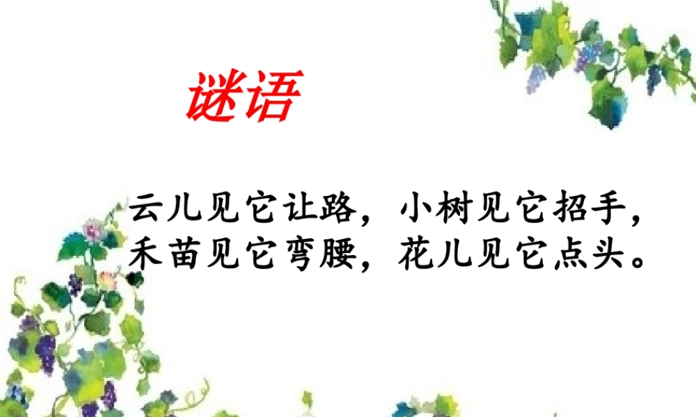 五年级科学上册 第16课 风的形成课件1 冀教版-冀教版小学五年级上册自然科学课件