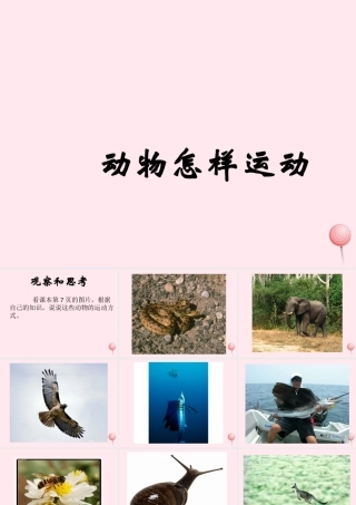 五年级科学下册 第3课《动物怎样运动》课件 鄂教版-鄂教版小学五年级下册自然科学课件