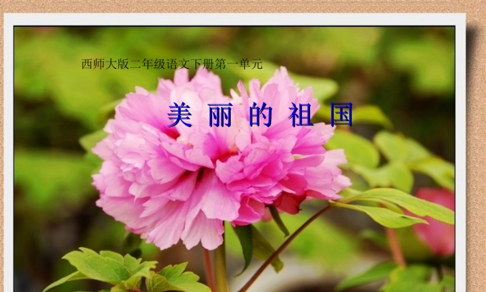 二年级语文下册 识字一《美丽的祖国》教学课件 西师大版-西师大版小学二年级下册语文课件