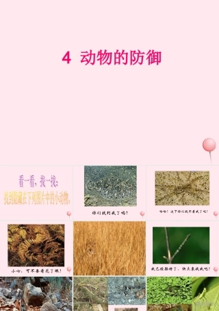 五年级科学下册 第4课《动物的防御》课件 鄂教版-鄂教版小学五年级下册自然科学课件