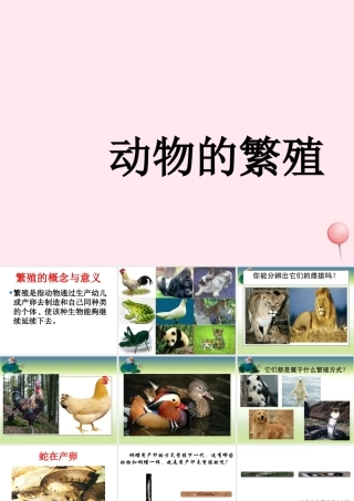 五年级科学下册 第5课《动物的繁殖》课件 鄂教版-鄂教版小学五年级下册自然科学课件