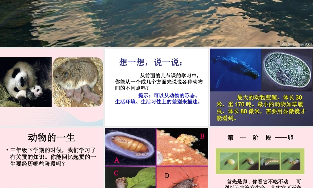 五年级科学下册 第6课《多彩的生命》课件 鄂教版-鄂教版小学五年级下册自然科学课件