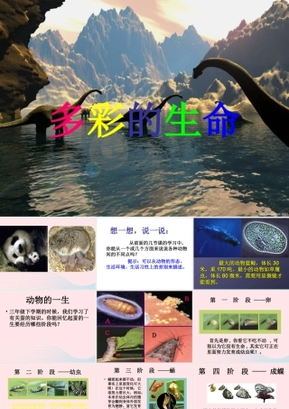 五年级科学下册 第6课《多彩的生命》课件 鄂教版-鄂教版小学五年级下册自然科学课件