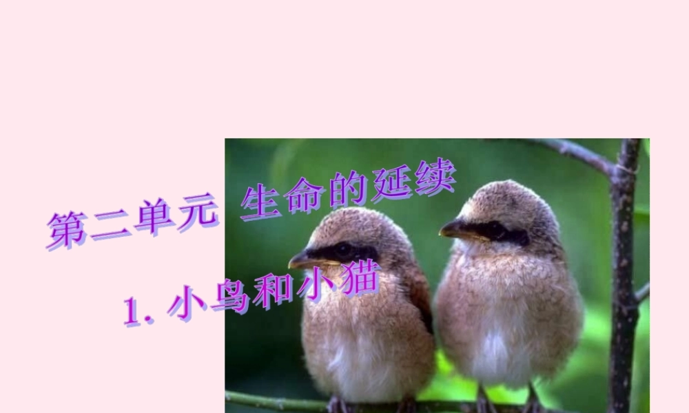 五年级科学下册 第6课《小鸟和小猫》课件1 冀教版-冀教版小学五年级下册自然科学课件