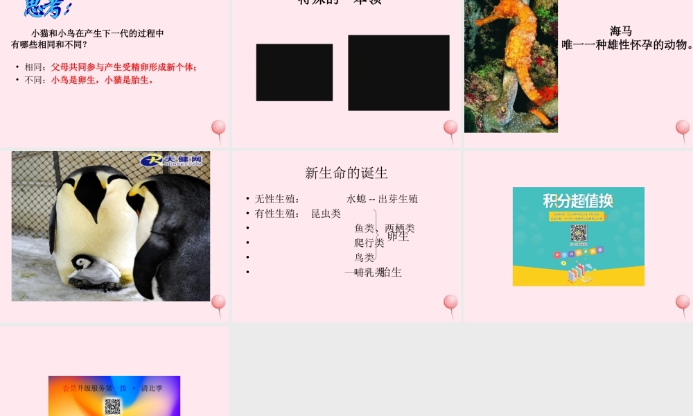 五年级科学下册 第6课《小鸟和小猫》课件1 冀教版-冀教版小学五年级下册自然科学课件