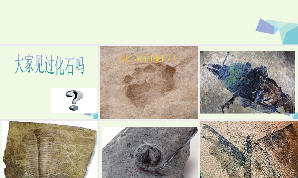 五年级科学上册 第18课 地表探秘课件3 冀教版-冀教版小学五年级上册自然科学课件